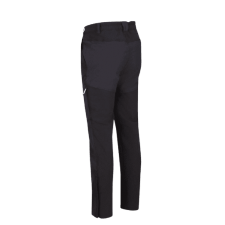 achat Pantalon Extensible Regatta Homme QUESTRA IV profil arrière gauche