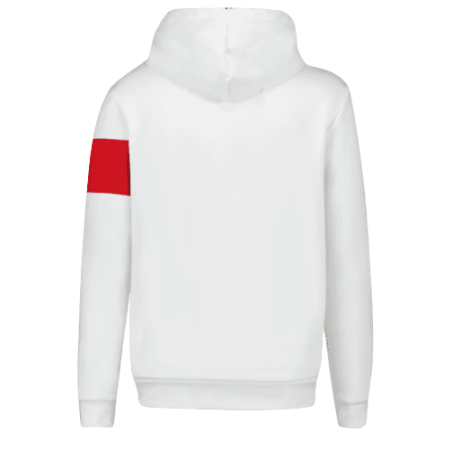 achat Sweat à capuche Homme Le Coq Sportif TRI N1 M Blanc derrière