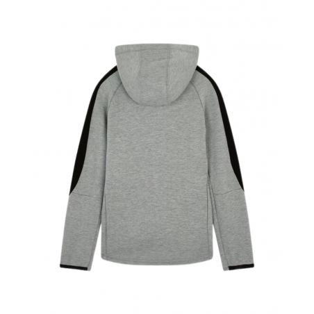 achat Sweat à capuche zippé Puma Enfant EVS CR FZ Gris dos