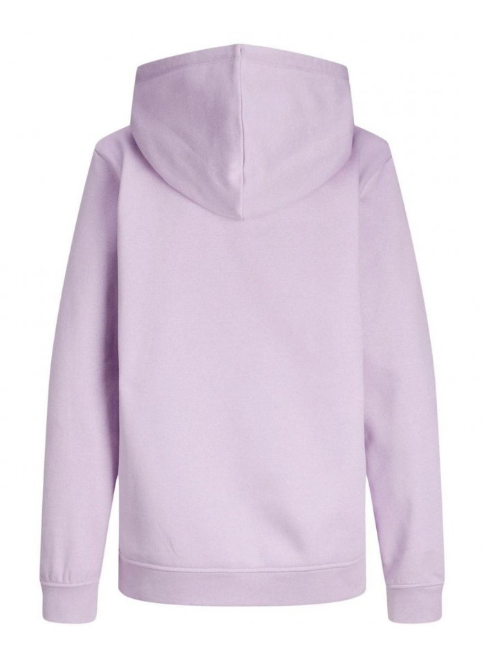 achat Sweat à capuche JJXX Femme JXABBIE Violet dos