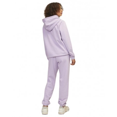 achat Sweat à capuche JJXX Femme JXABBIE Violet dos look