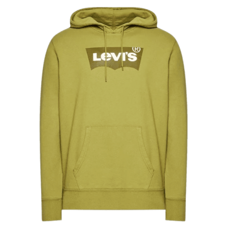 achat Sweat à capuche LEVIS homme STANDARD GRAPHIC vert face