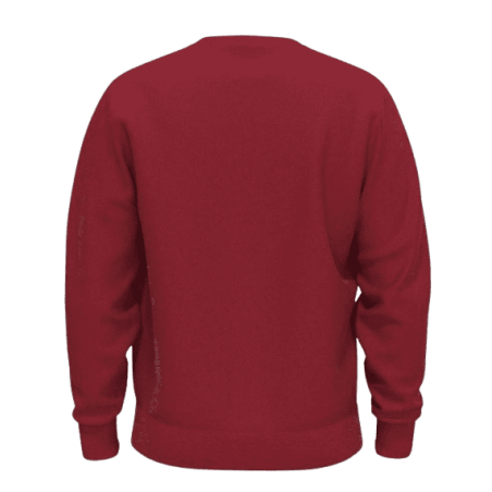 achat Sweat LEVIS homme NEW ORIGINAL CREW rouge dos