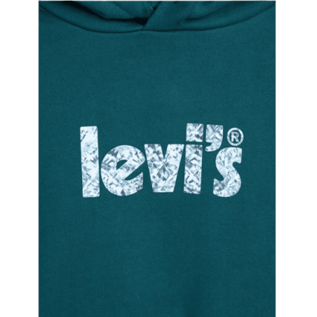 achat Sweat à capuche LEVIS femme GRAPHIC STANDARD vert logo