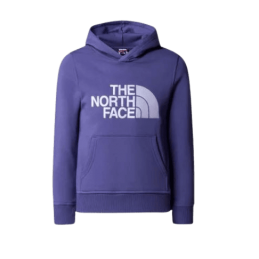 Sweat Capuche The North...